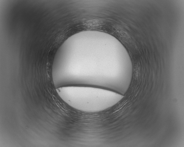 X0000076431346200610060949