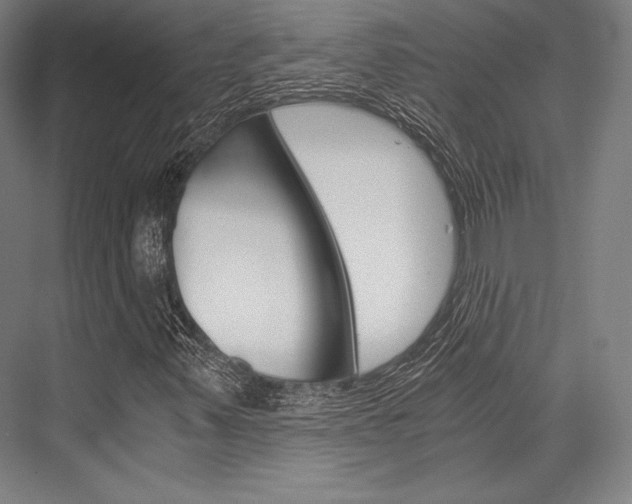 X0000076431347200610060949