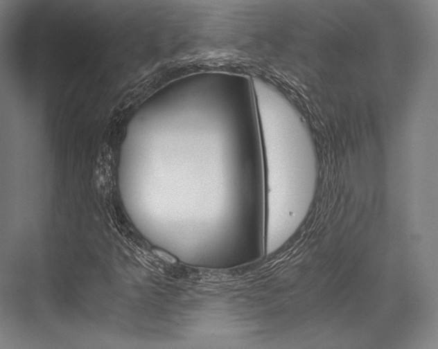 X0000076431349200610060949