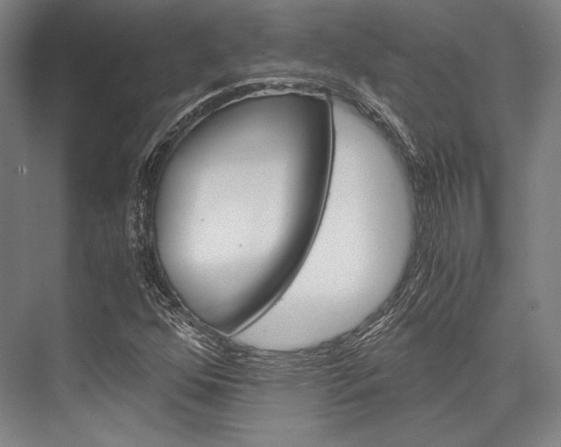 X0000076431352200610060948