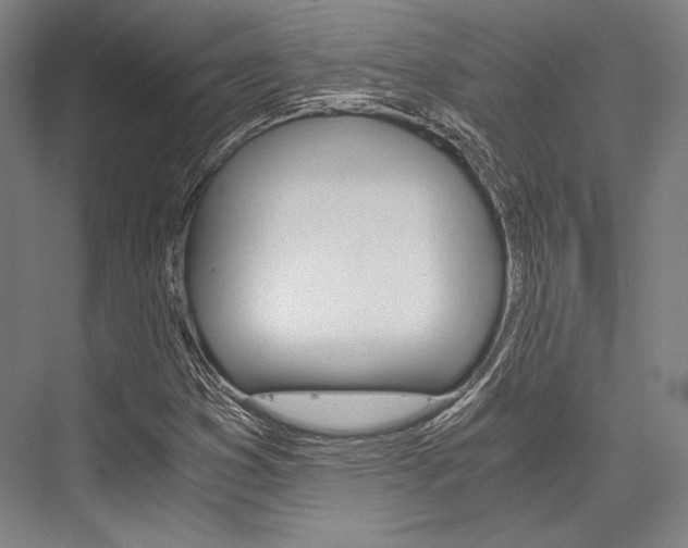 X0000076431353200610060948
