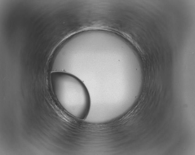 X0000076431356200610060948