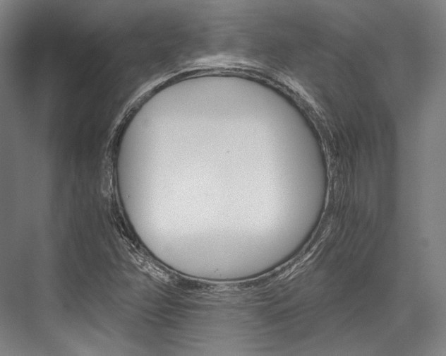 X0000076431358200610060948