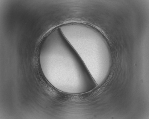 X0000076431359200610060948