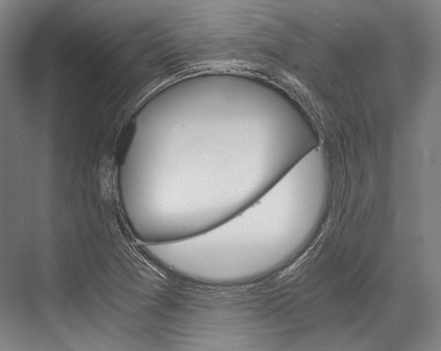 X0000076431361200610060948