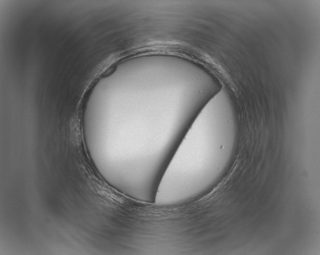 X0000076431362200610060948