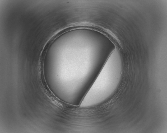 X0000076431364200610060948