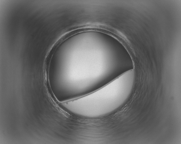 X0000076431368200610060948