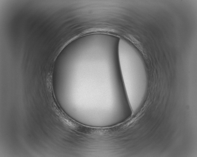 X0000076431369200610060948