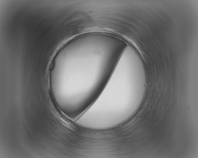 X0000076431371200610060948