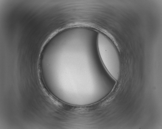 X0000076431373200610060948