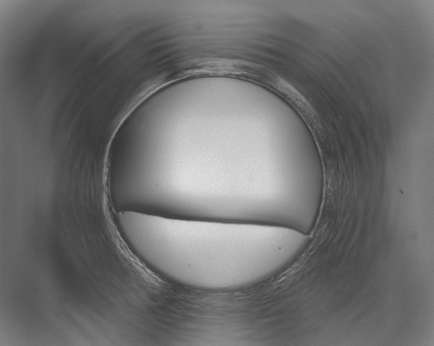X0000076431378200610060948
