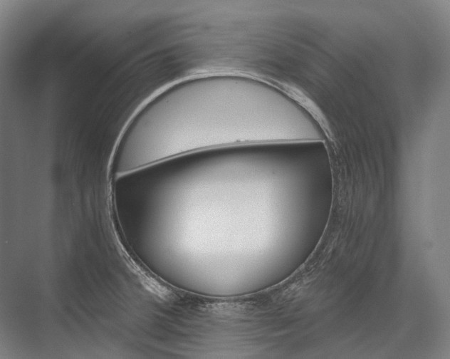 X0000076431380200610060948