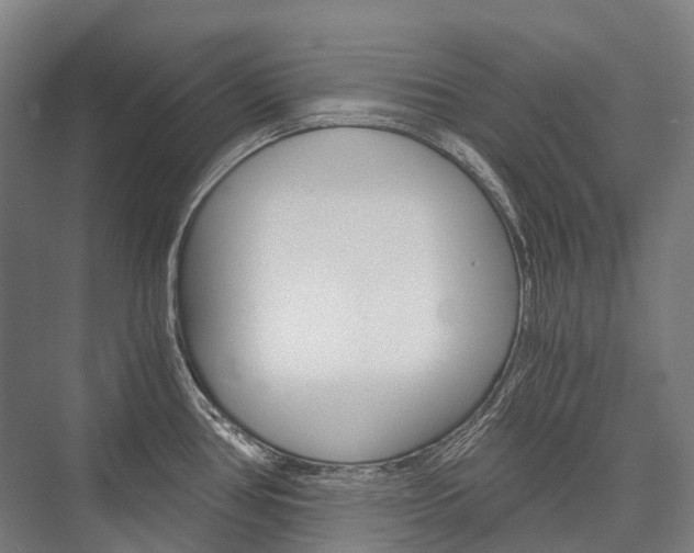 X0000076431386200610060948