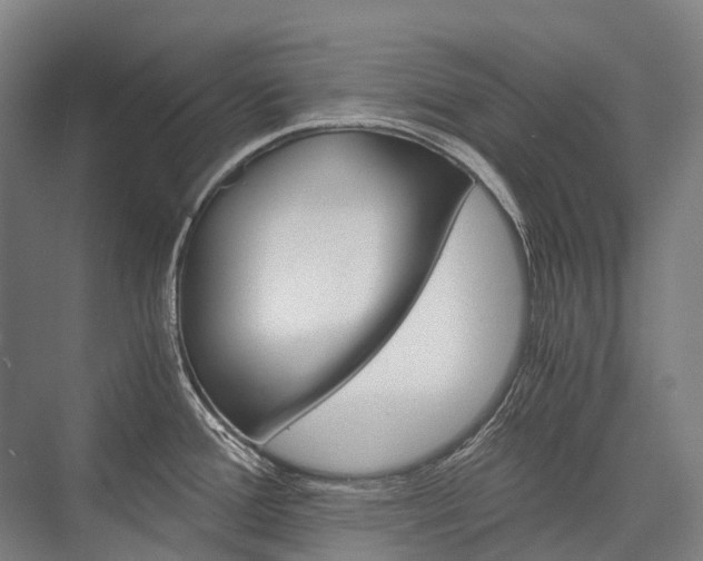 X0000076431388200610060948