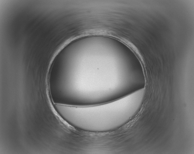 X0000076431389200610060948