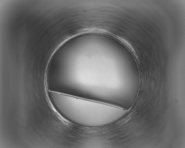 X0000076431391200610060948