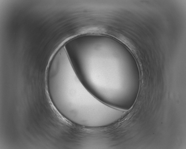 X0000076431392200610060948
