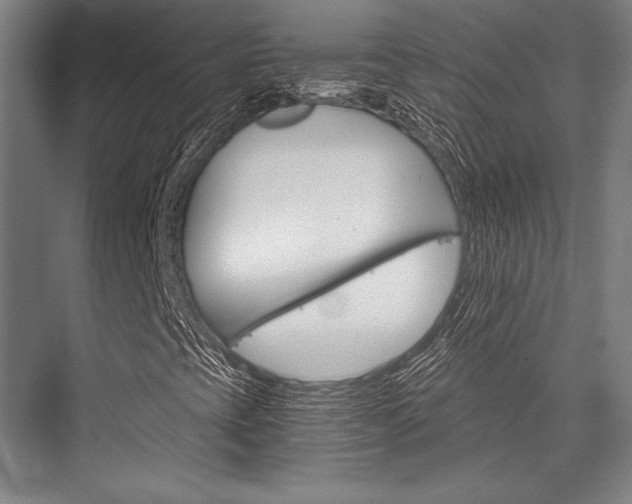 X0000076431393200610060947