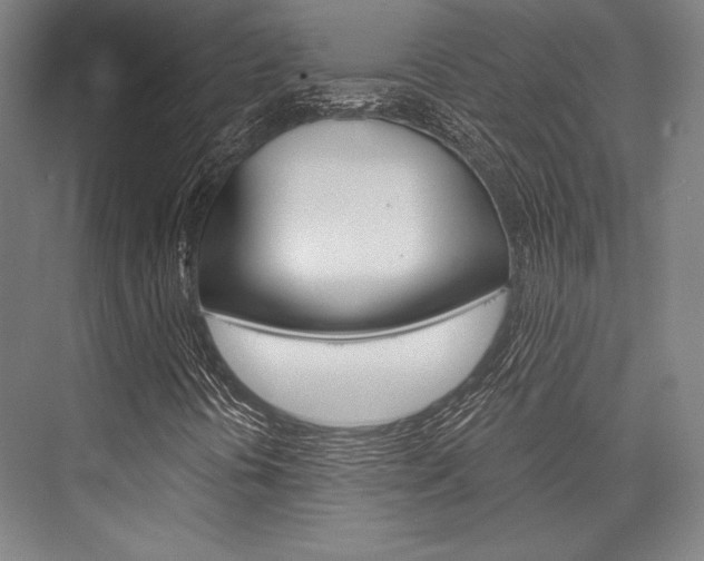 X0000076431394200610060947