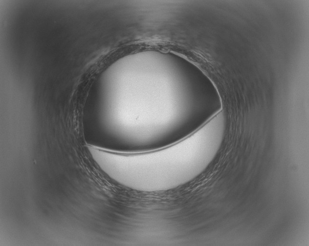 X0000076431398200610060947