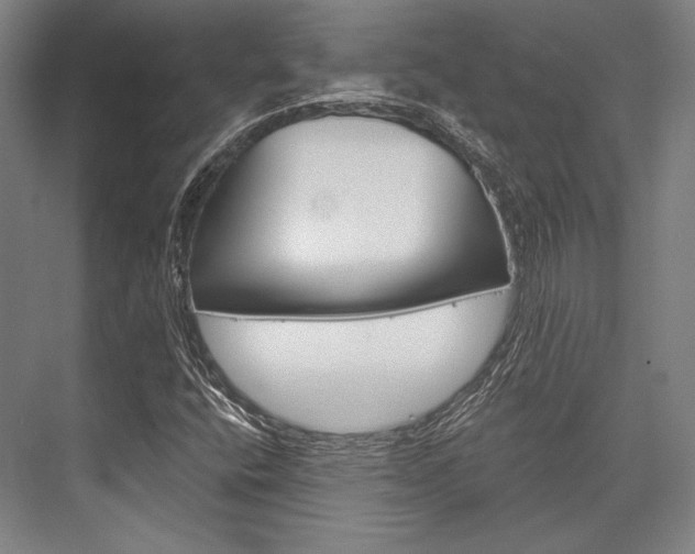 X0000076431400200610060947