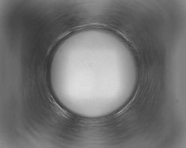 X0000076431402200610060947