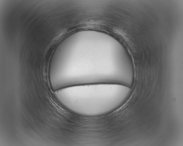 X0000076431403200610060947