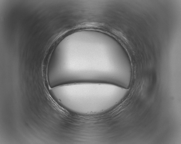 X0000076431404200610060947