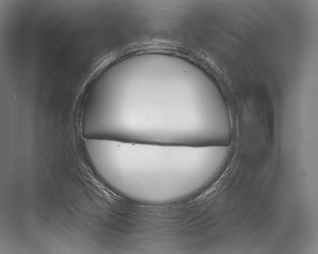 X0000076431405200610060947