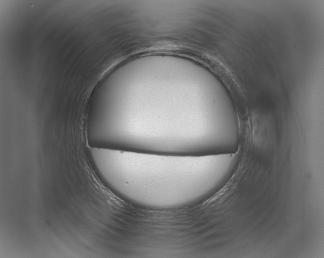 X0000076431409200610060947