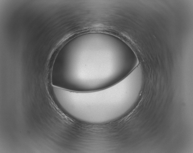 X0000076431410200610060947