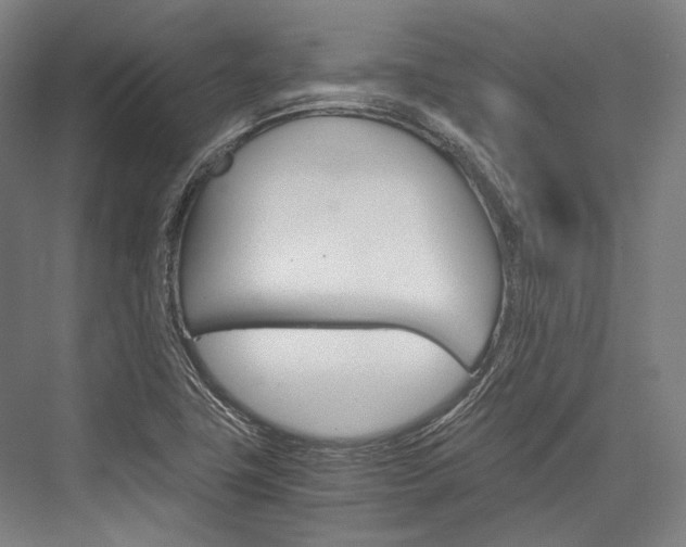 X0000076431411200610060947