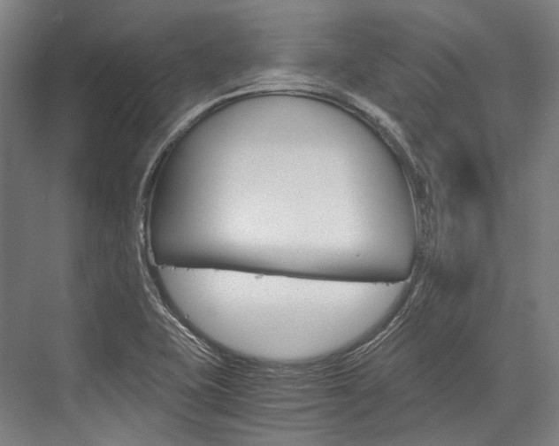 X0000076431415200610060947