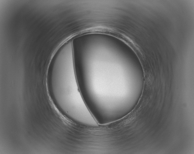 X0000076431418200610060947