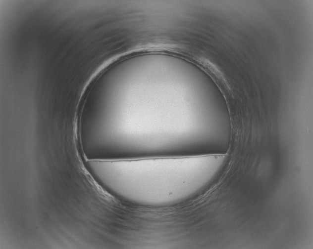 X0000076431420200610060947