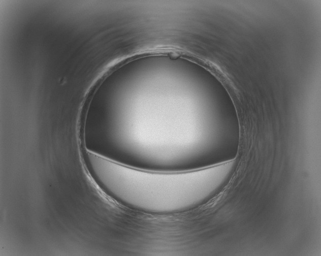 X0000076431422200610060947