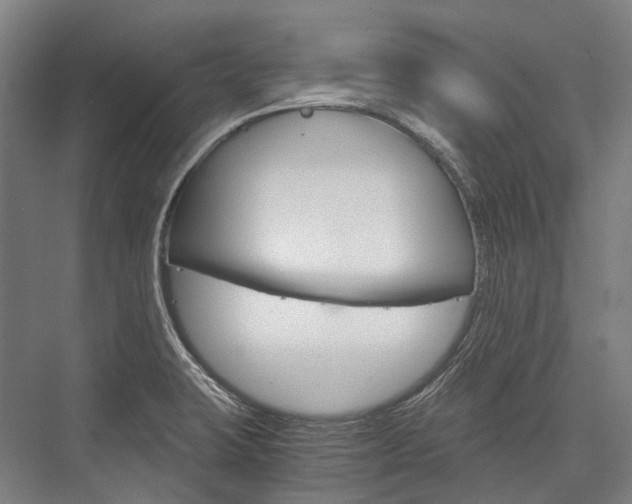 X0000076431423200610060947