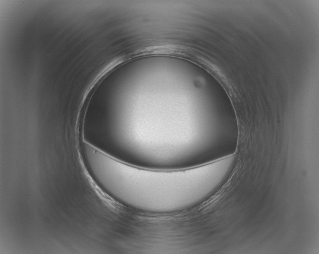 X0000076431426200610060948