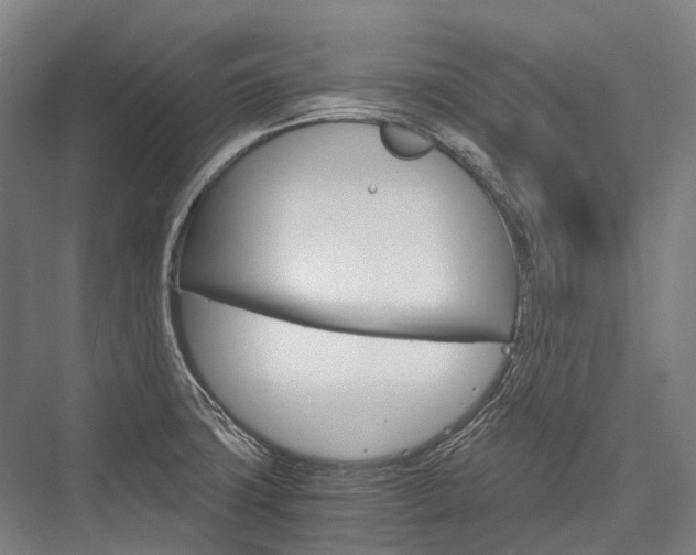 X0000076431427200610060948