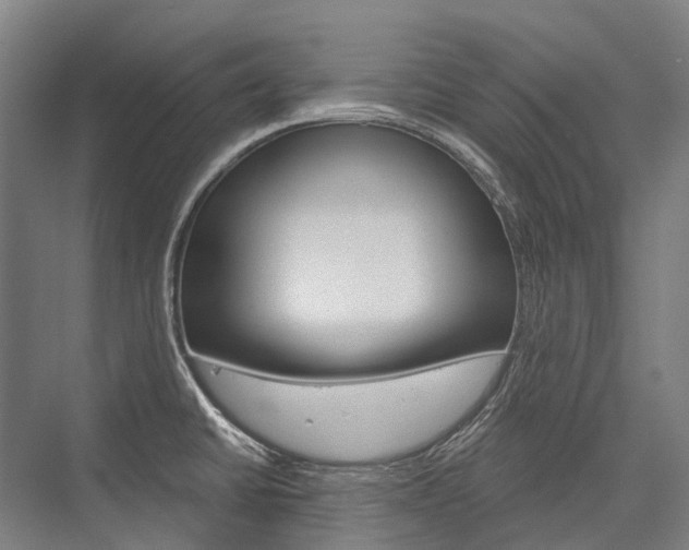 X0000076431430200610060948