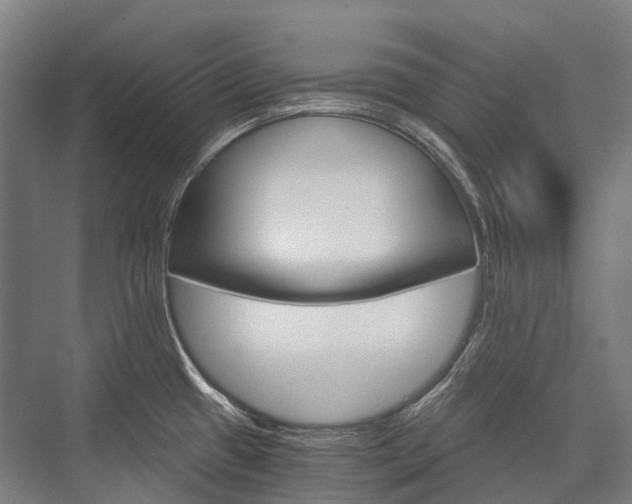 X0000076431433200610060948