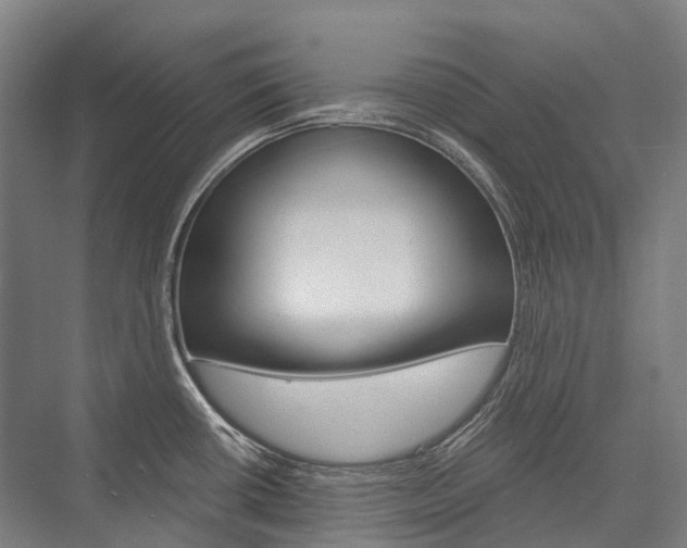 X0000076431434200610060948