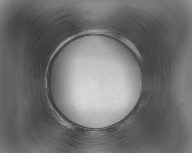 X0000076431436200610060948