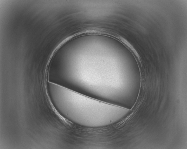 X0000076431437200610060948