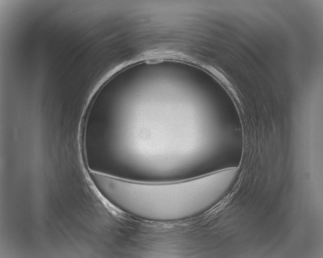 X0000076431438200610060948