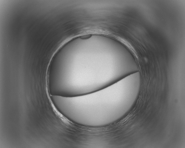 X0000076431439200610060948