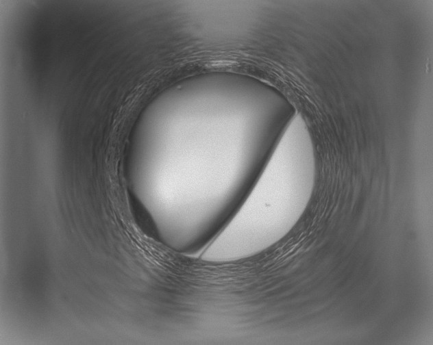 X0000076431441200610060947