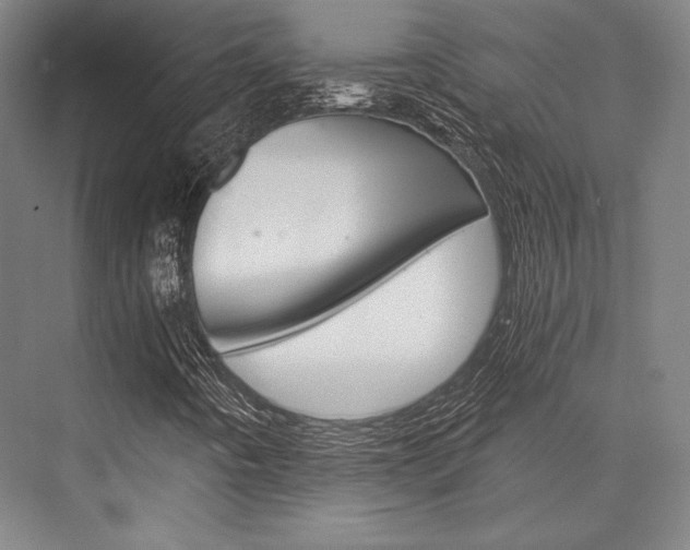 X0000076431442200610060947