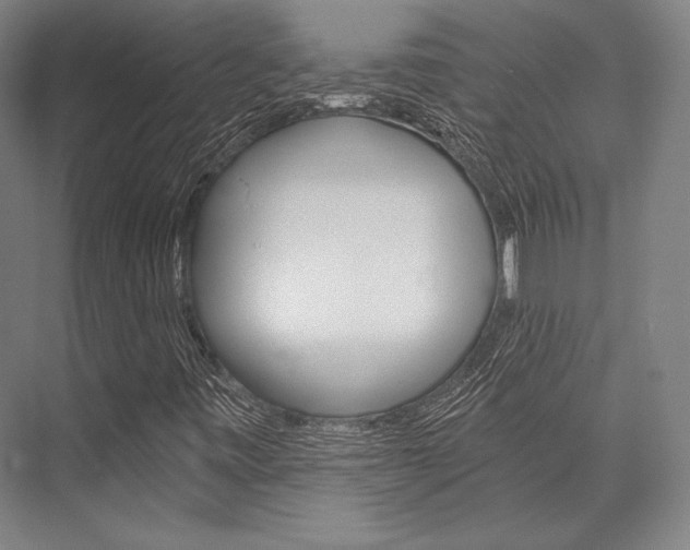 X0000076431443200610060947